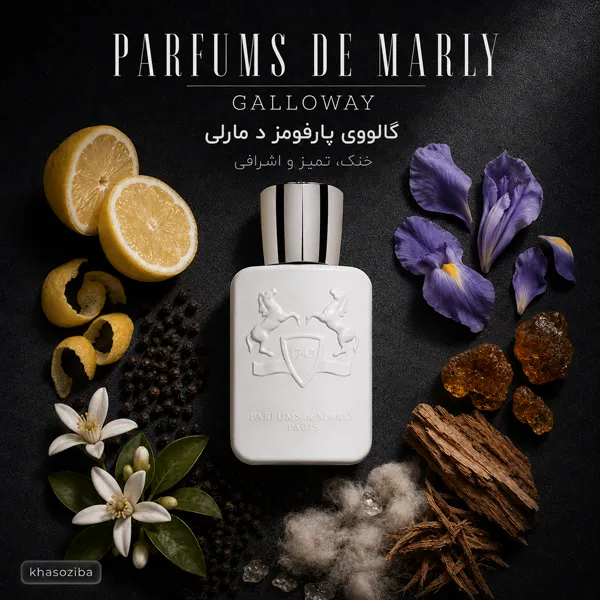 مارلی گلووی